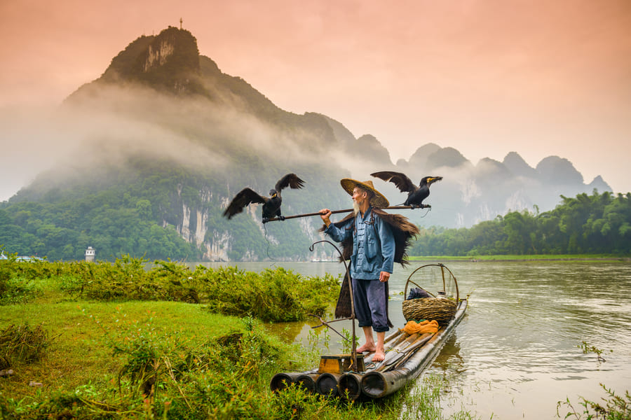Pescador tradicional con aves cormoranes en una balsa sobre el río en Yangshuo, una experiencia de naturaleza y turismo cultural en China.